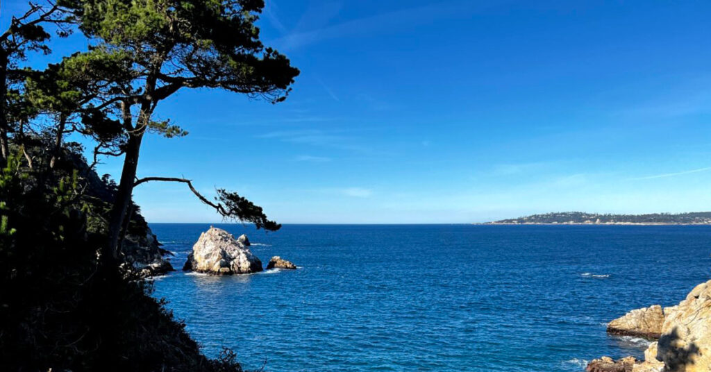 Monterey Bay views from a lookout point, mid trail