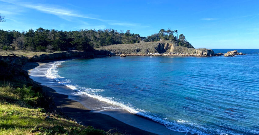 Whaler's Cove Point Lobos